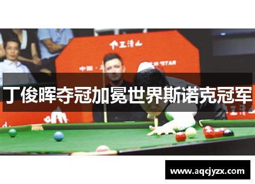 丁俊晖夺冠加冕世界斯诺克冠军