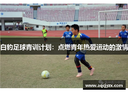 白豹足球青训计划：点燃青年热爱运动的激情
