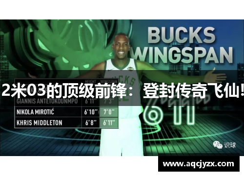 2米03的顶级前锋：登封传奇飞仙!